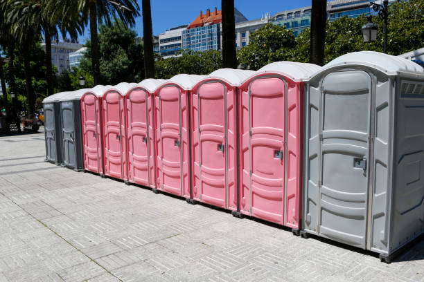 Best Standard Portable Toilet Rental  in Edcouch, TX